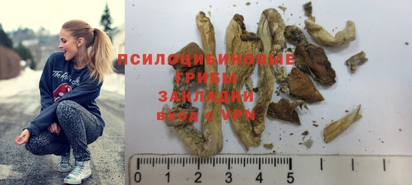 стаф Кодинск