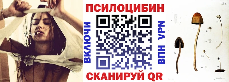 Псилоцибиновые грибы GOLDEN TEACHER  наркотики  Никольское 